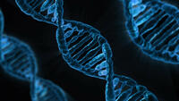 News DNA Picture.jpeg